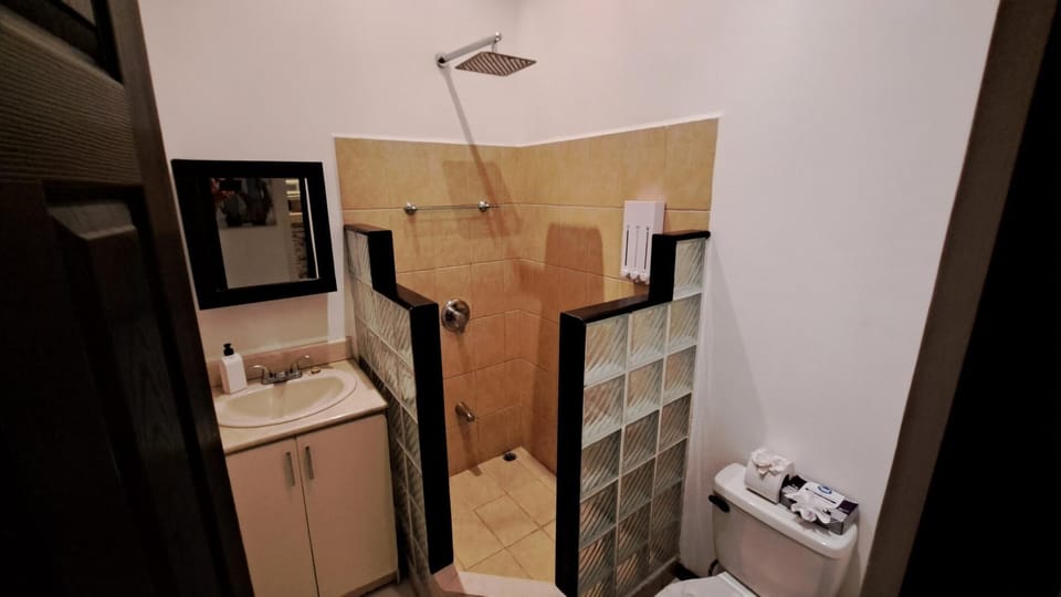 Second full bathroom with rain shower head and soap dispenser