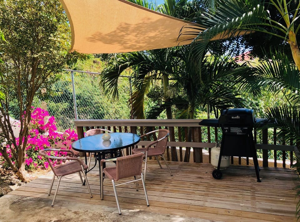 Private patio with BBQ, Palm trees, Bougainvillea, Hibiscus, and Mango tree
