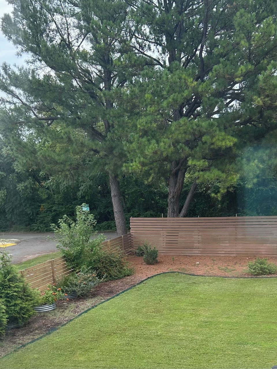 View from the kitchen