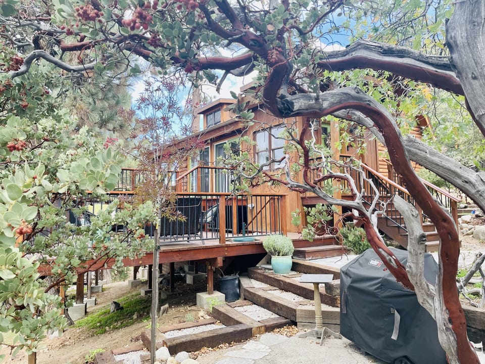 View from grilling area.