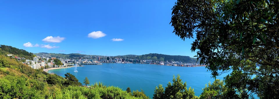 midsummer day in Wellington
