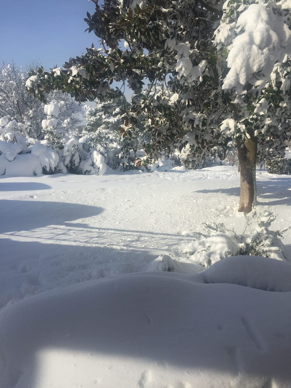 Snow and ski sports