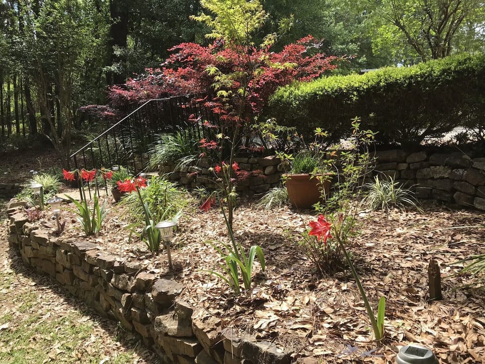 Front gardens