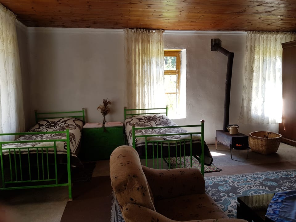 King room with garden view