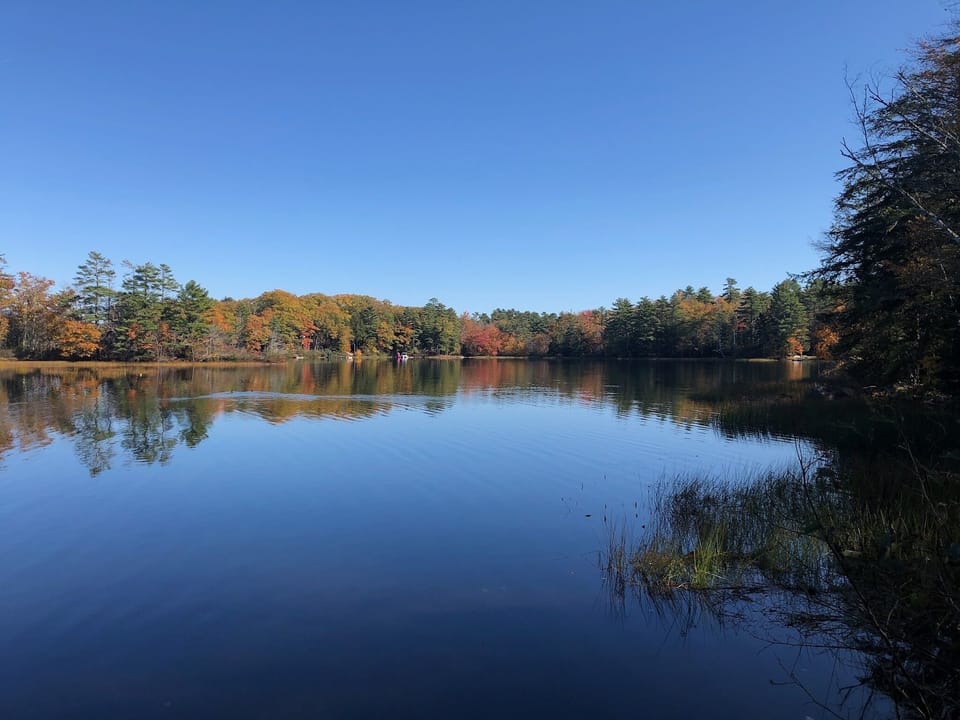 Lake