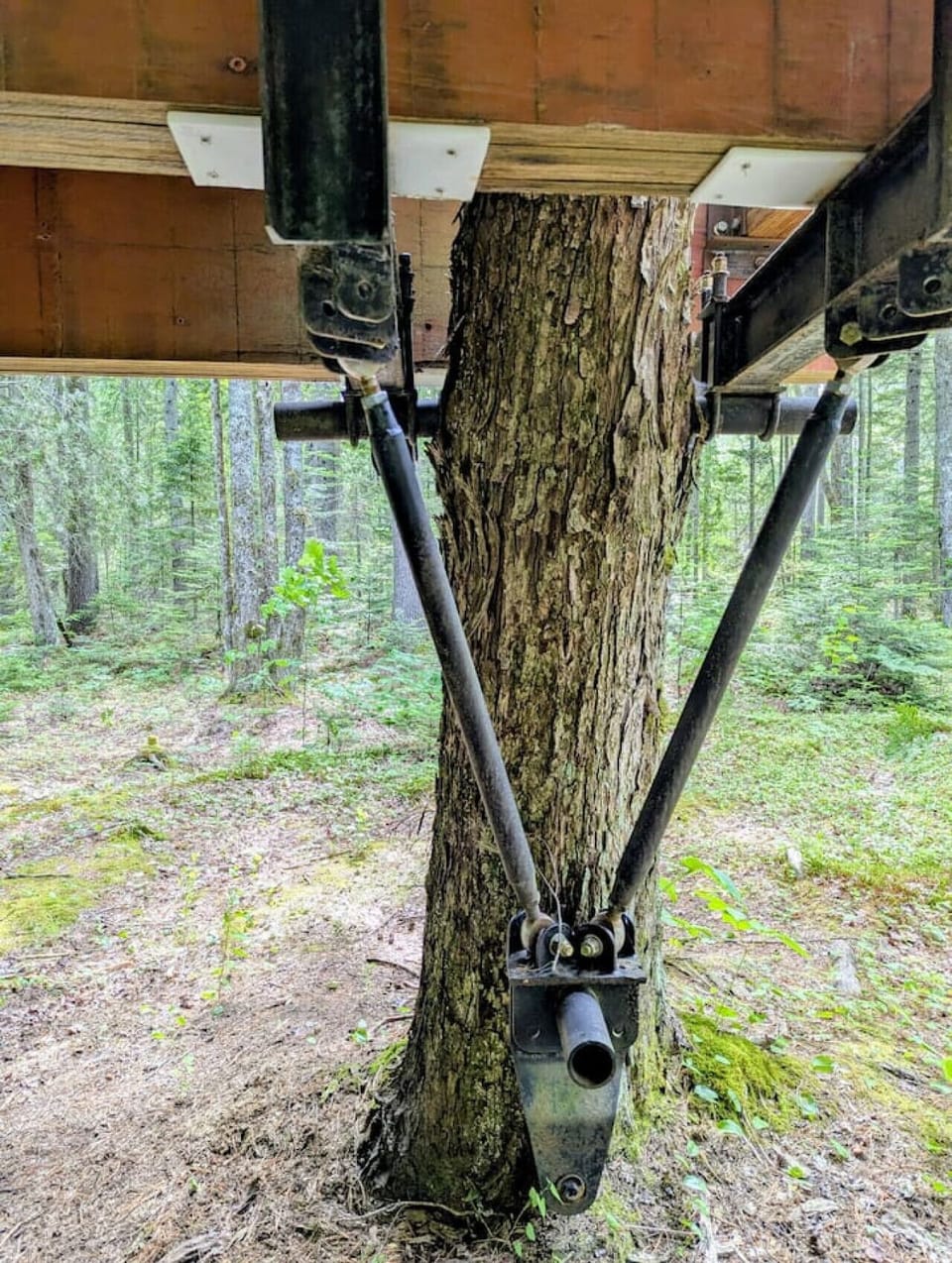 Treehouse Engineering