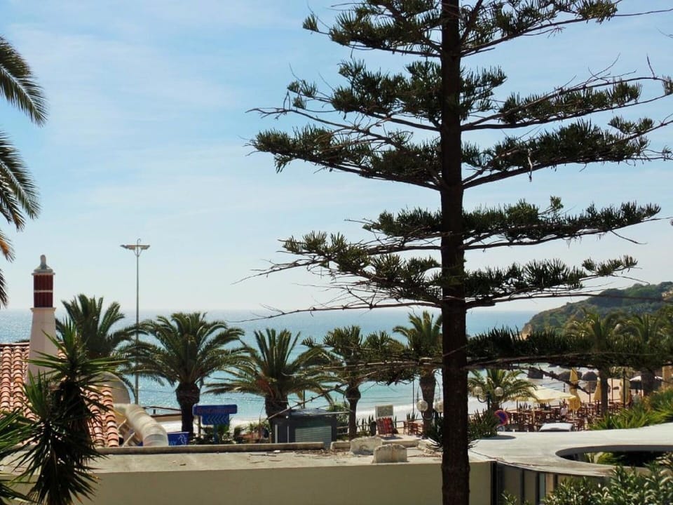 Beach/ocean view