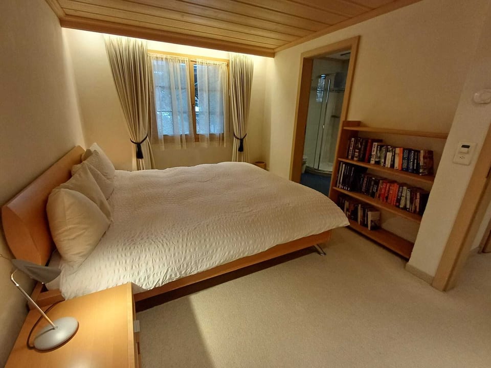 bedsie view of the bedroom with a connected bathroom 