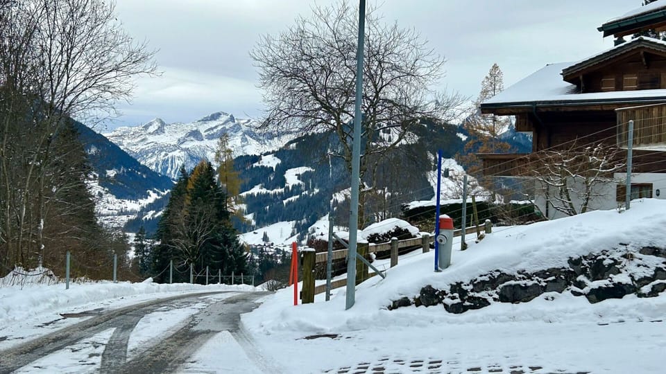 view from drive way 