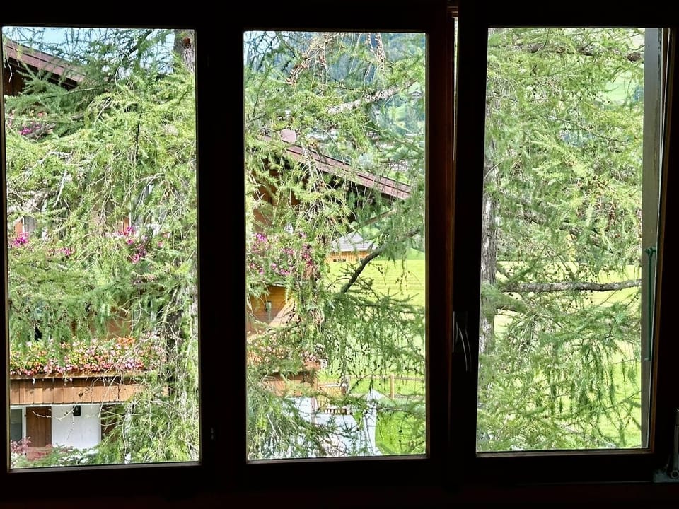 window view 