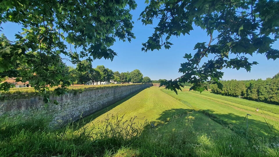 Green, Grass, Grassland, Plain, Field, Meadow, Plantation, Pasture, Agriculture