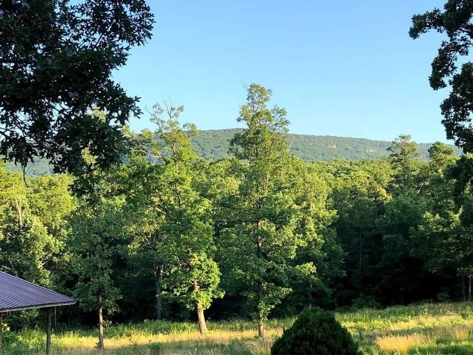View from rear of house to Magazine Mountain.