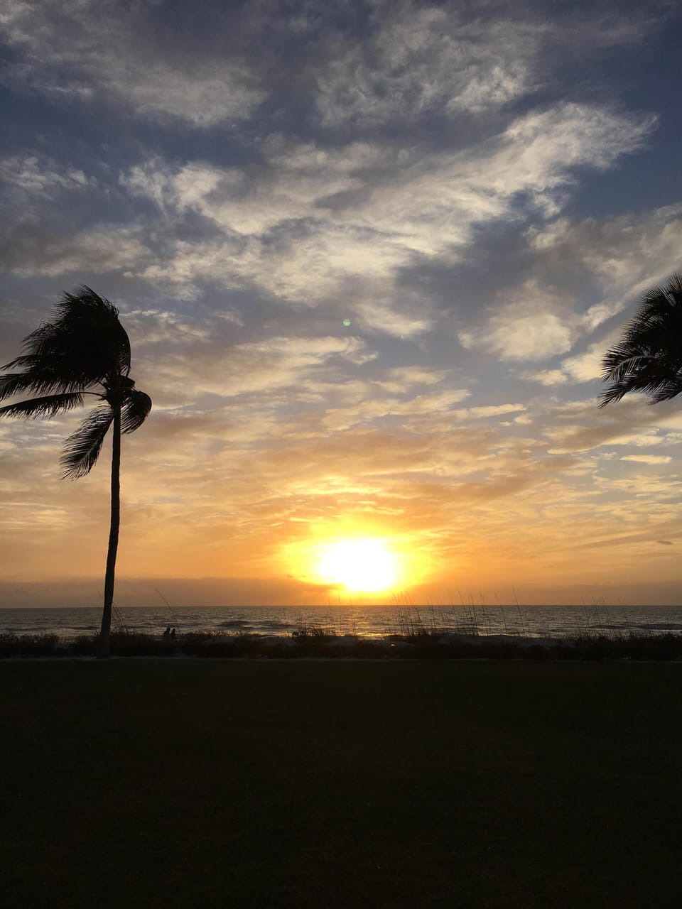 Sunrise view