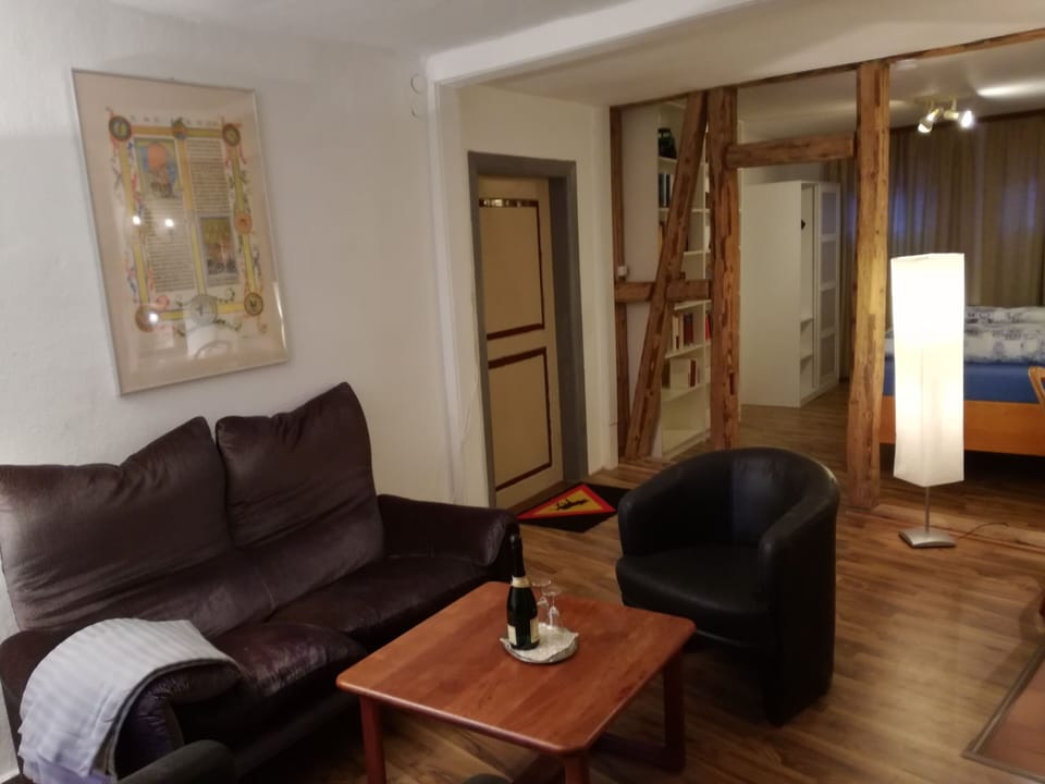 View to the enterance of living and sleeping area