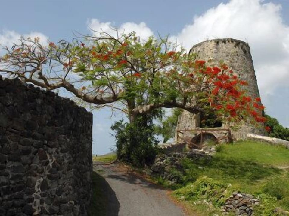 A visit to the ruins of Annaberg Sugar mill is a must.  Great snorkeling nearby.