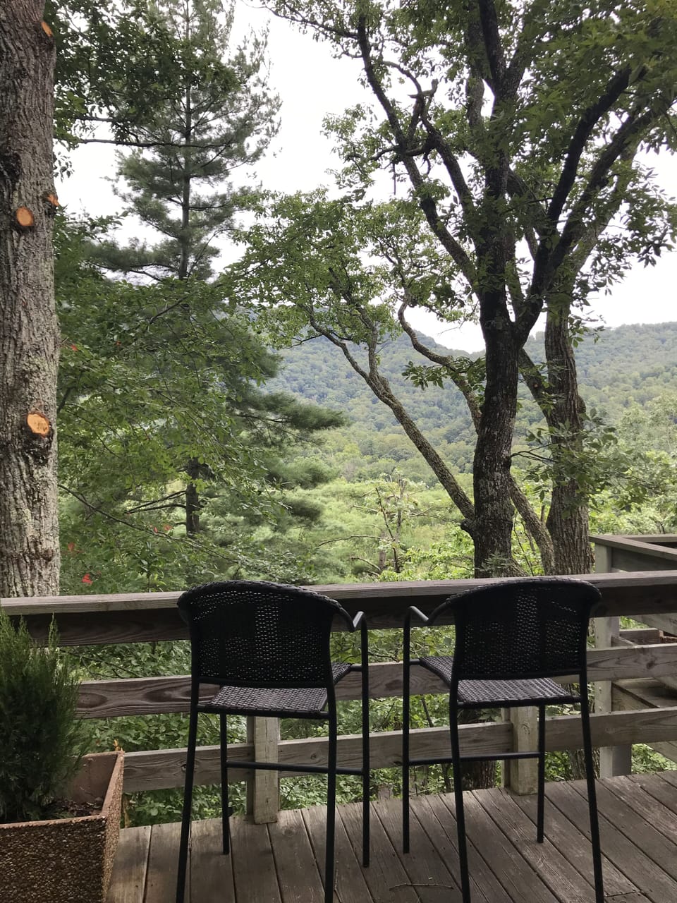 View in the spring/summer from Raven deck