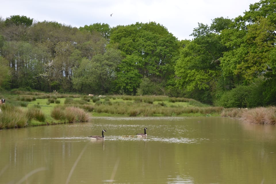 Lake