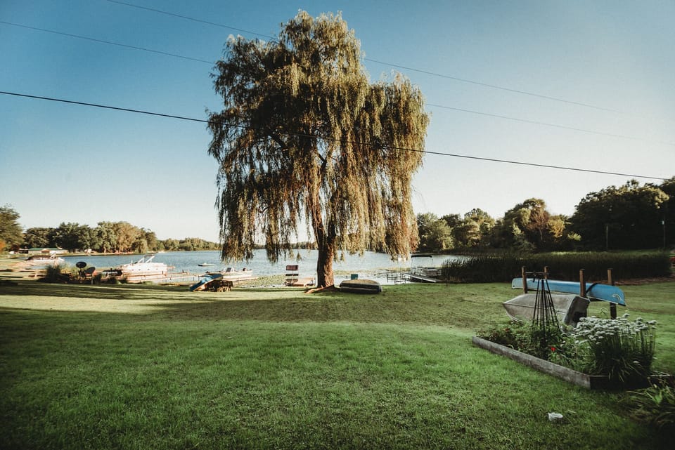 Lakefront Yard