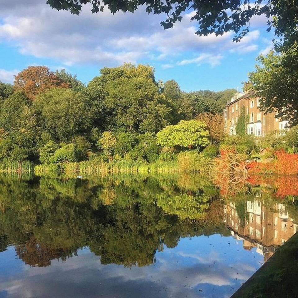 Hampstead Heath in Autumn