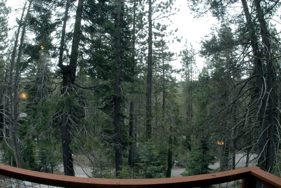 View from front deck