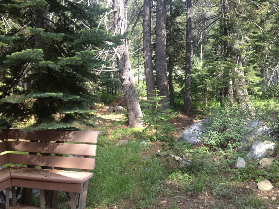 Outside back deck and backyard