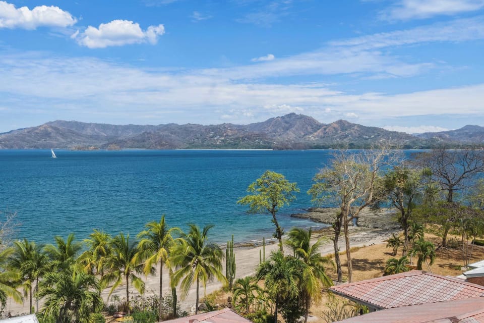 Flamingo Beach: A breathtaking vista!
