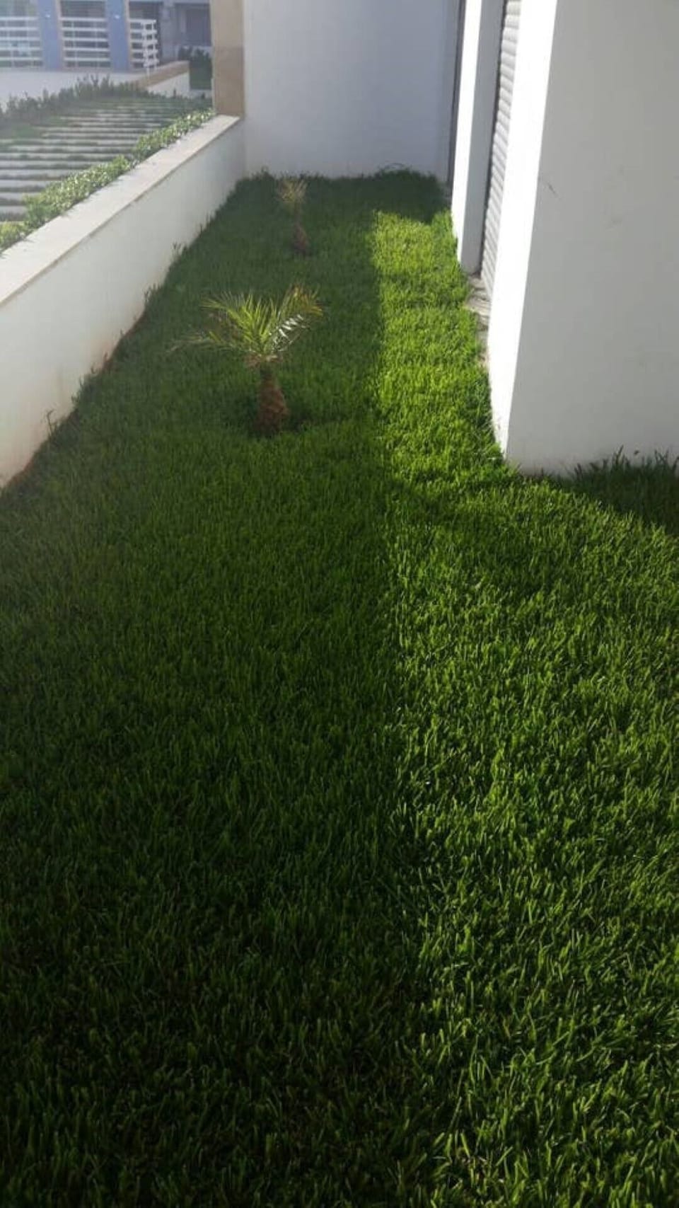 Small Garden