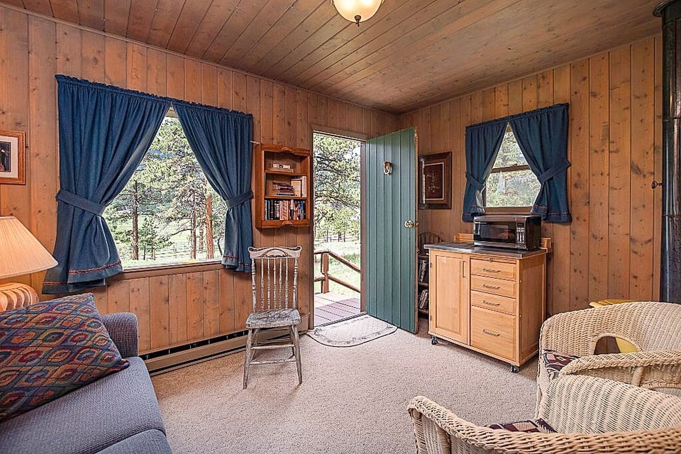 Guest Cabin Living Room - sofa sleeper-queen! Includes Microwave & Coffee Maker