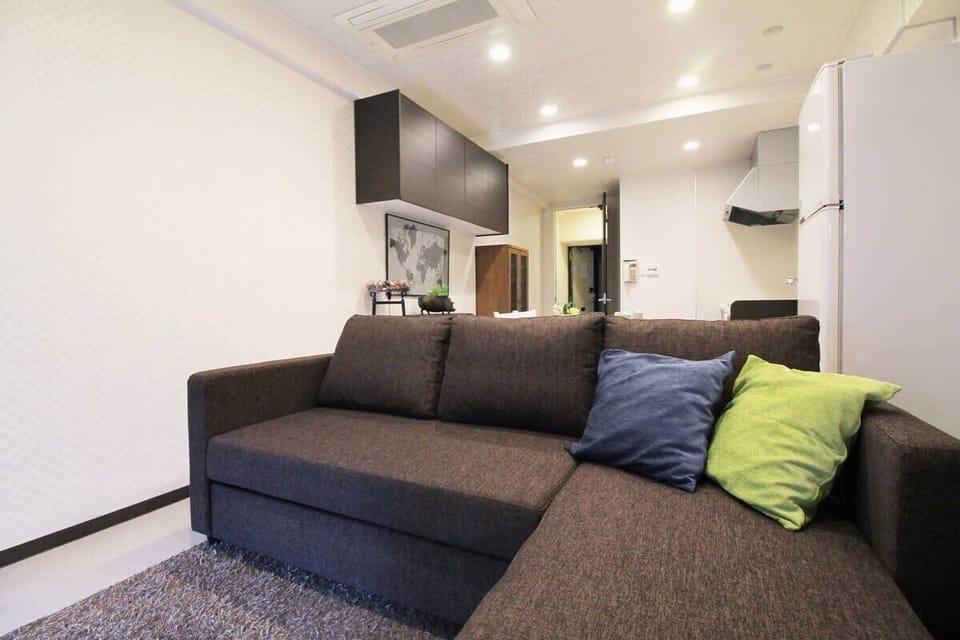 Living Area / Sofa Bed