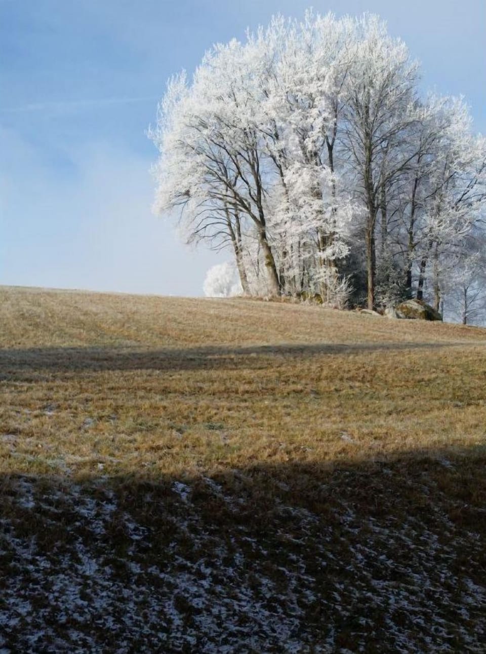Gemütliches Ferienhaus umrahmt von Wiesen und Wäldern Apartment in Bavaria
