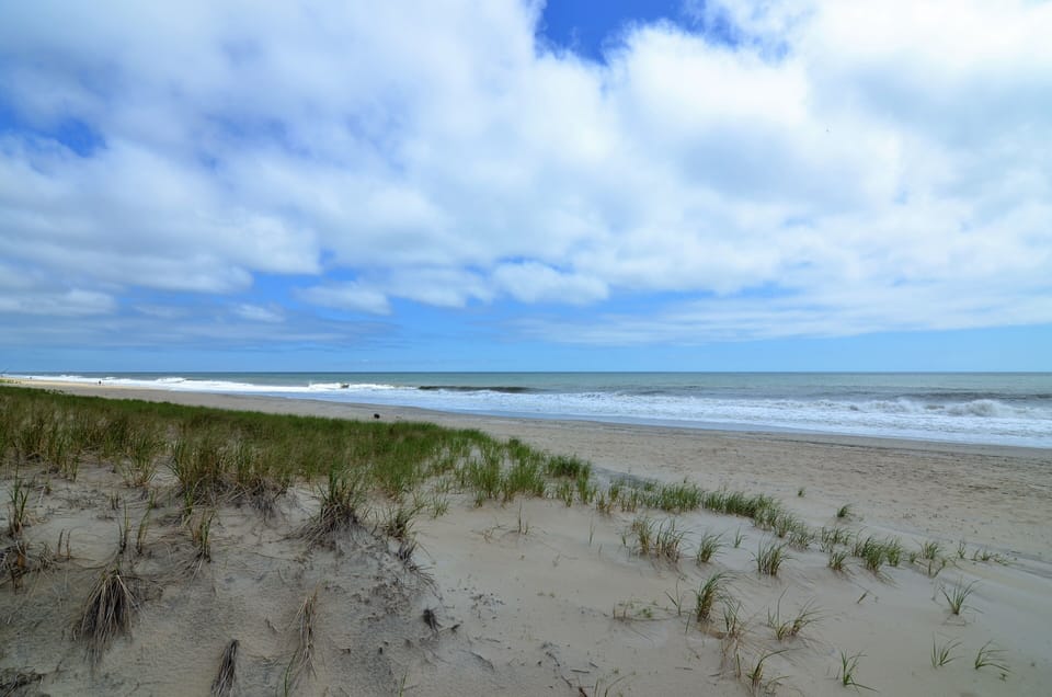 The Beach is Steps Away!