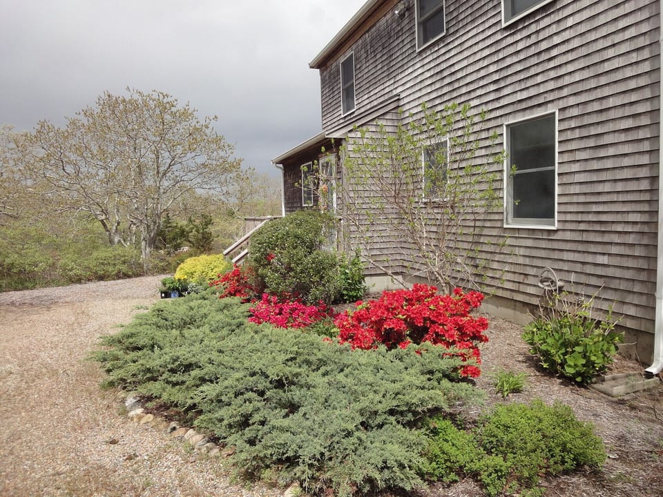 A saltbox layout with a modern twist.