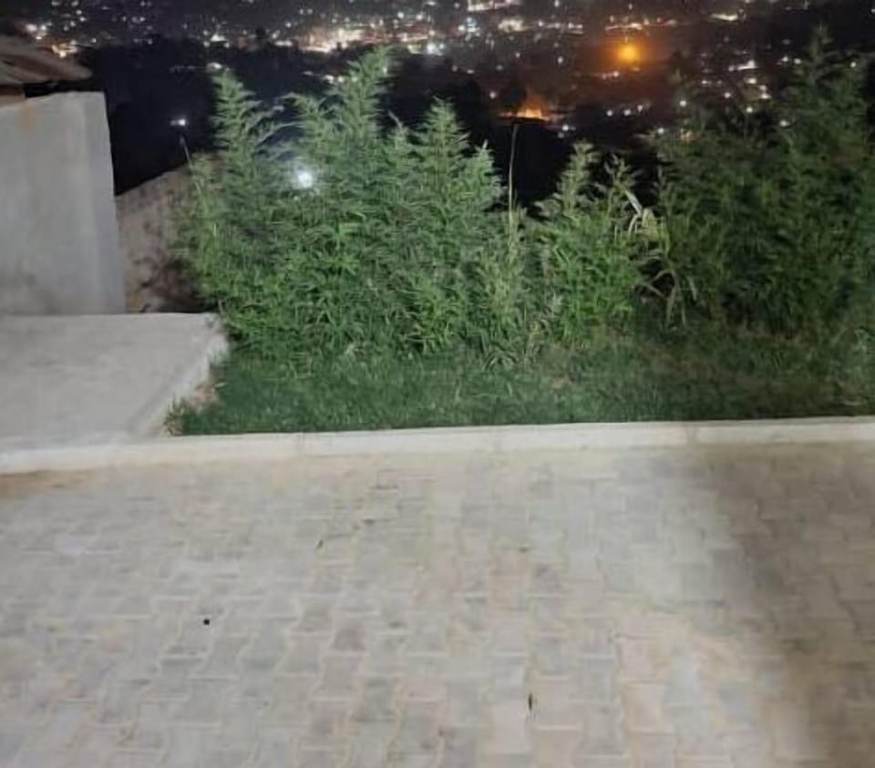 View at night
