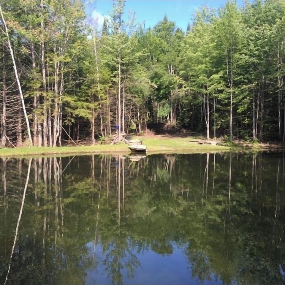 Pond on property 