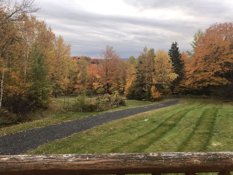 Lawn fall