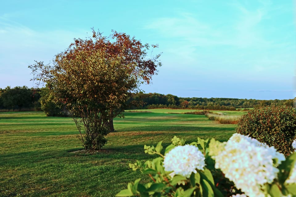 View of property