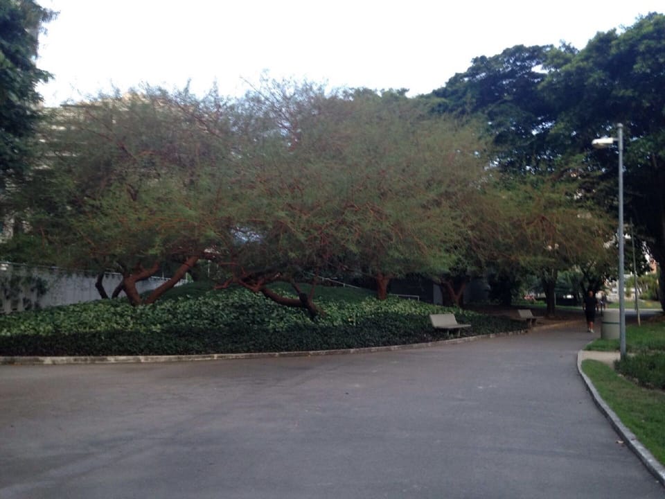 Property grounds
