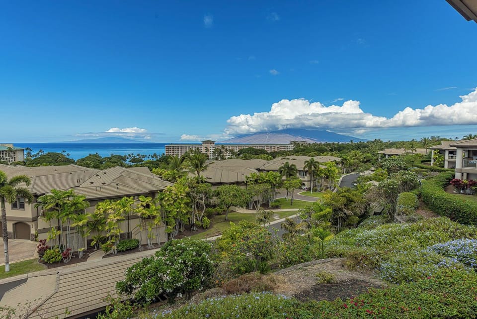 Experience Maui’s coastline in full, vivid color