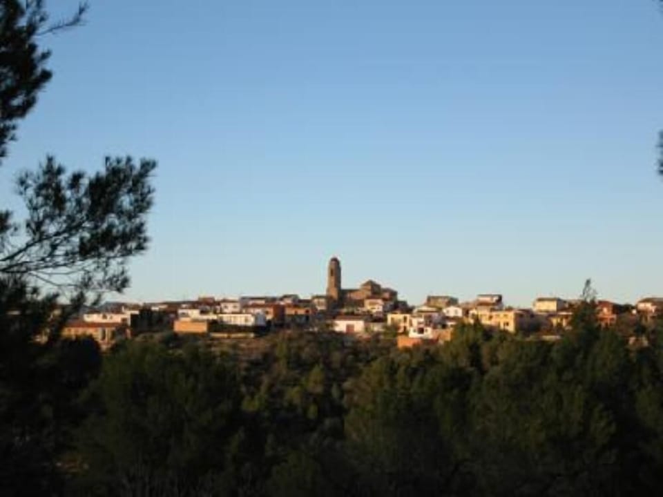 Overview