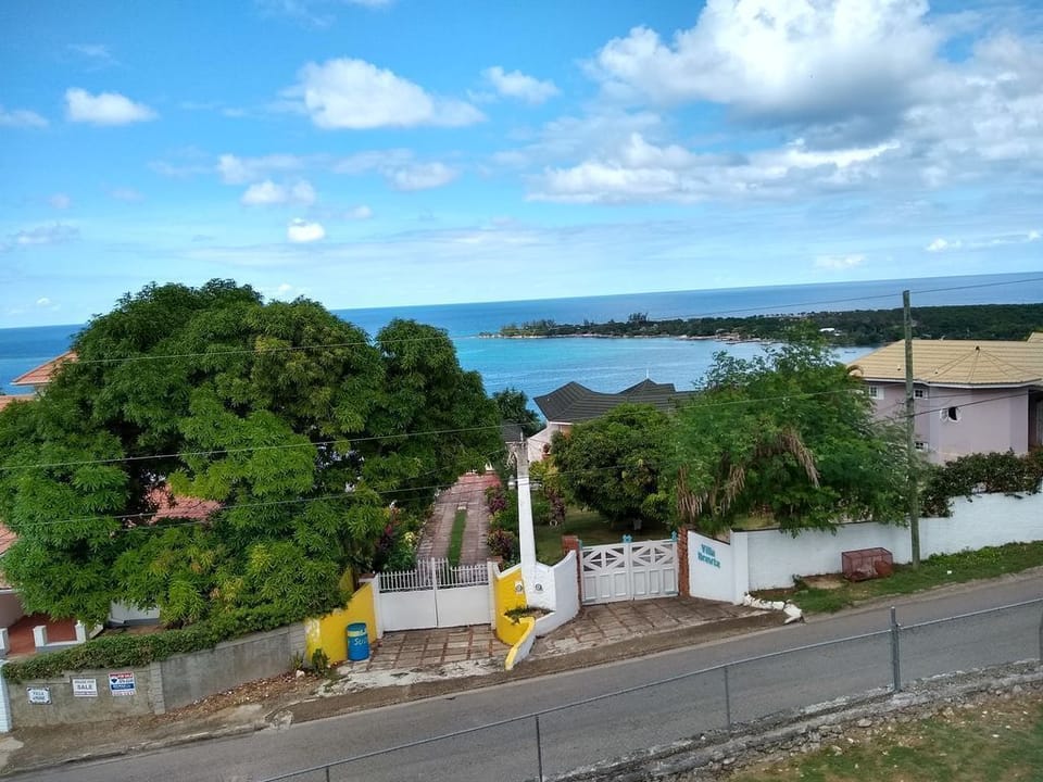 Tranquil hideaway for travelers needing to unwind and be In tune with nature  Apartment in St. Ann Parish