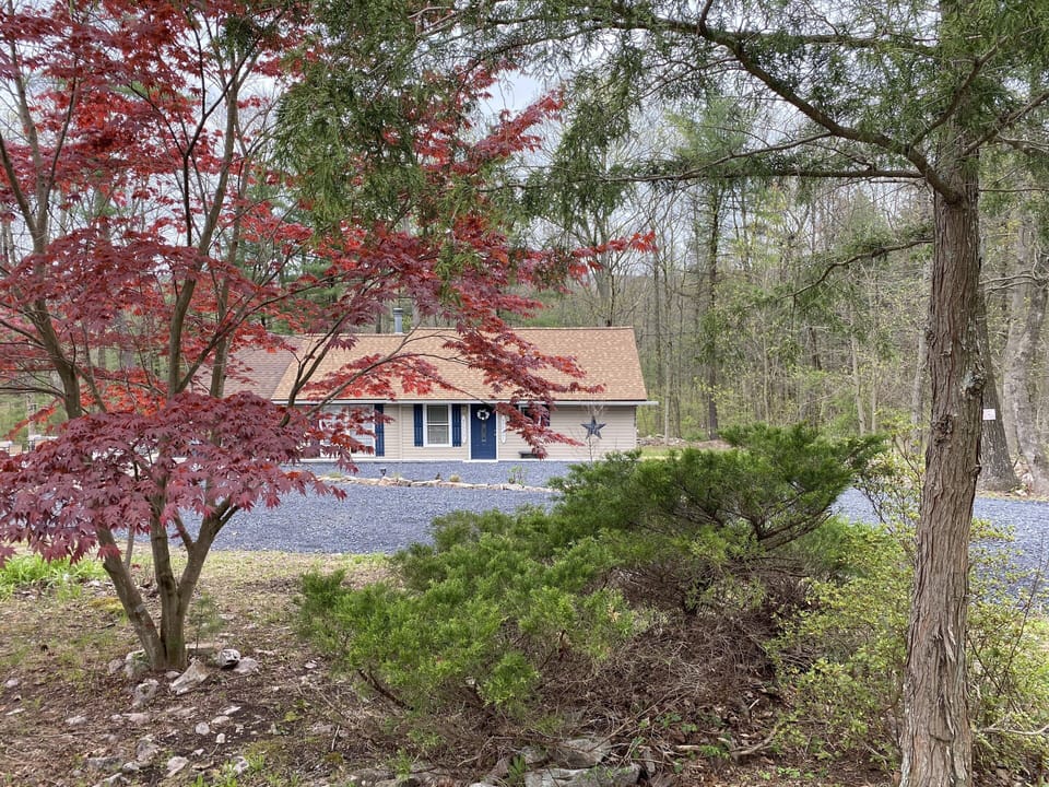 Cabin in the woods. 