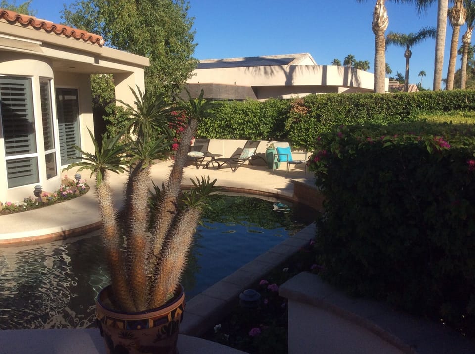 view of the pool from the spa deck