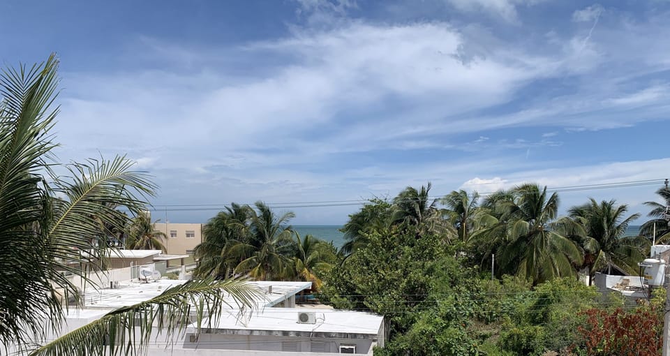 View from property