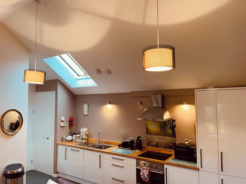 Vaulted ceiling with roof light