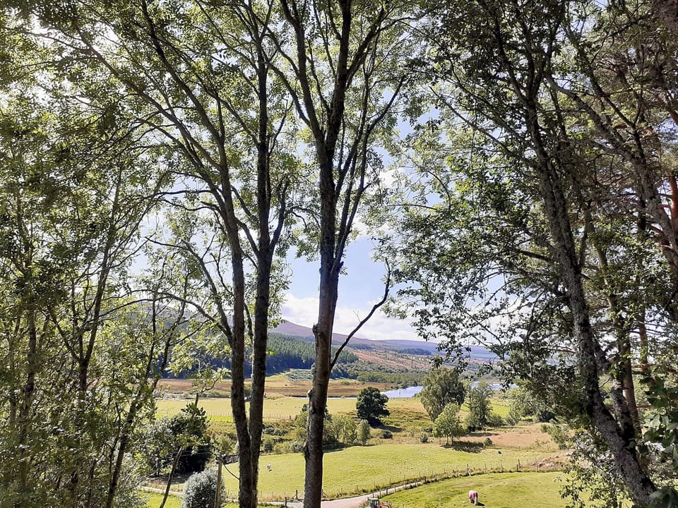 View | Inch Alla, Linsidemore, near Lairg