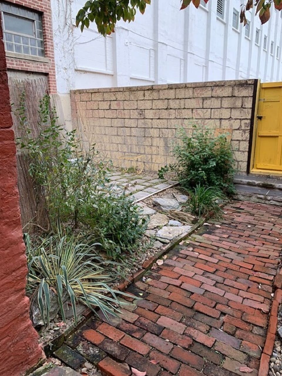 Walled courtyard outside of the apartment 