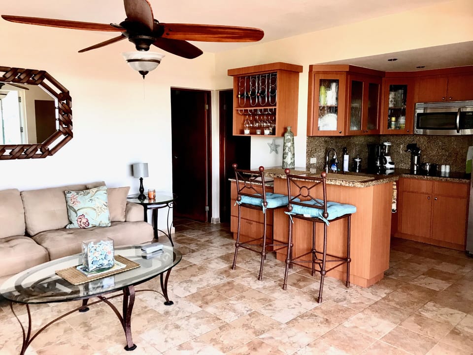 Living room and kitchen