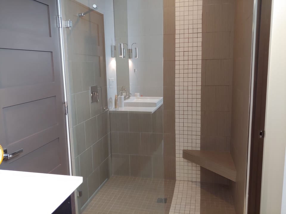Walkin glass panel shower
