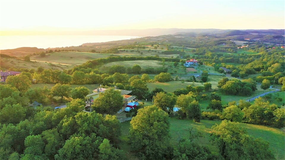 Nature, Tree, Natural Environment, Natural Landscape, Vegetation, Landscape, Bird'S-Eye View, Grassland, Plain, Rural Area