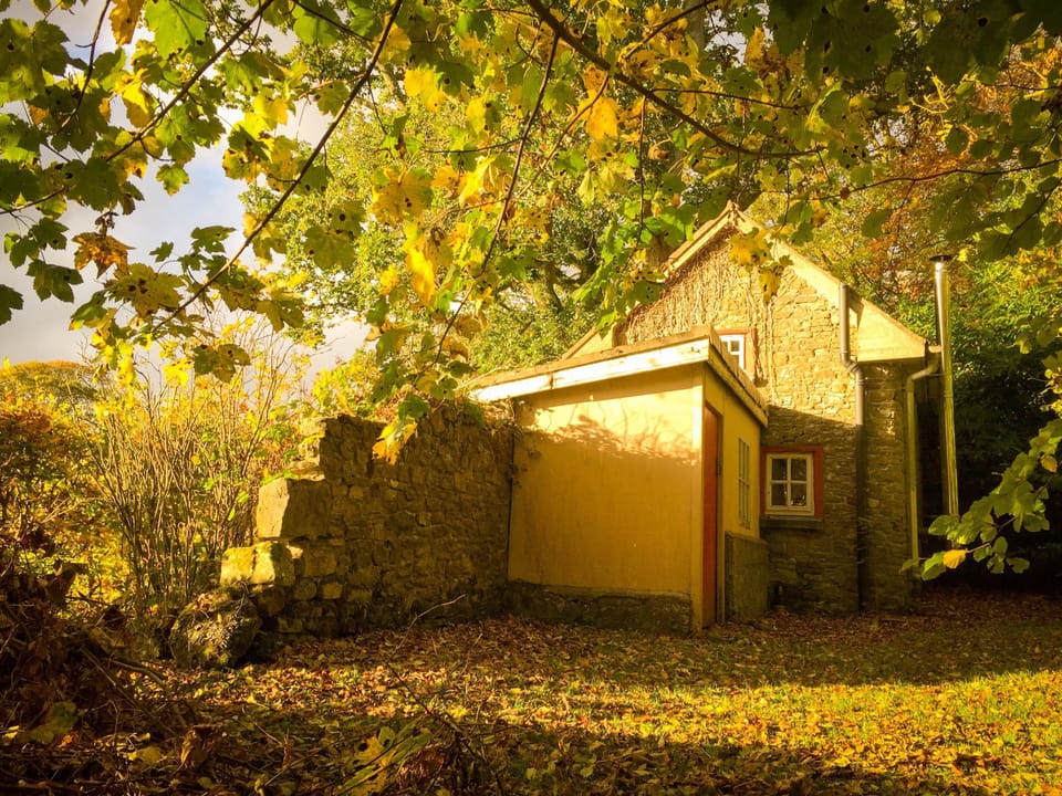 Back Garden